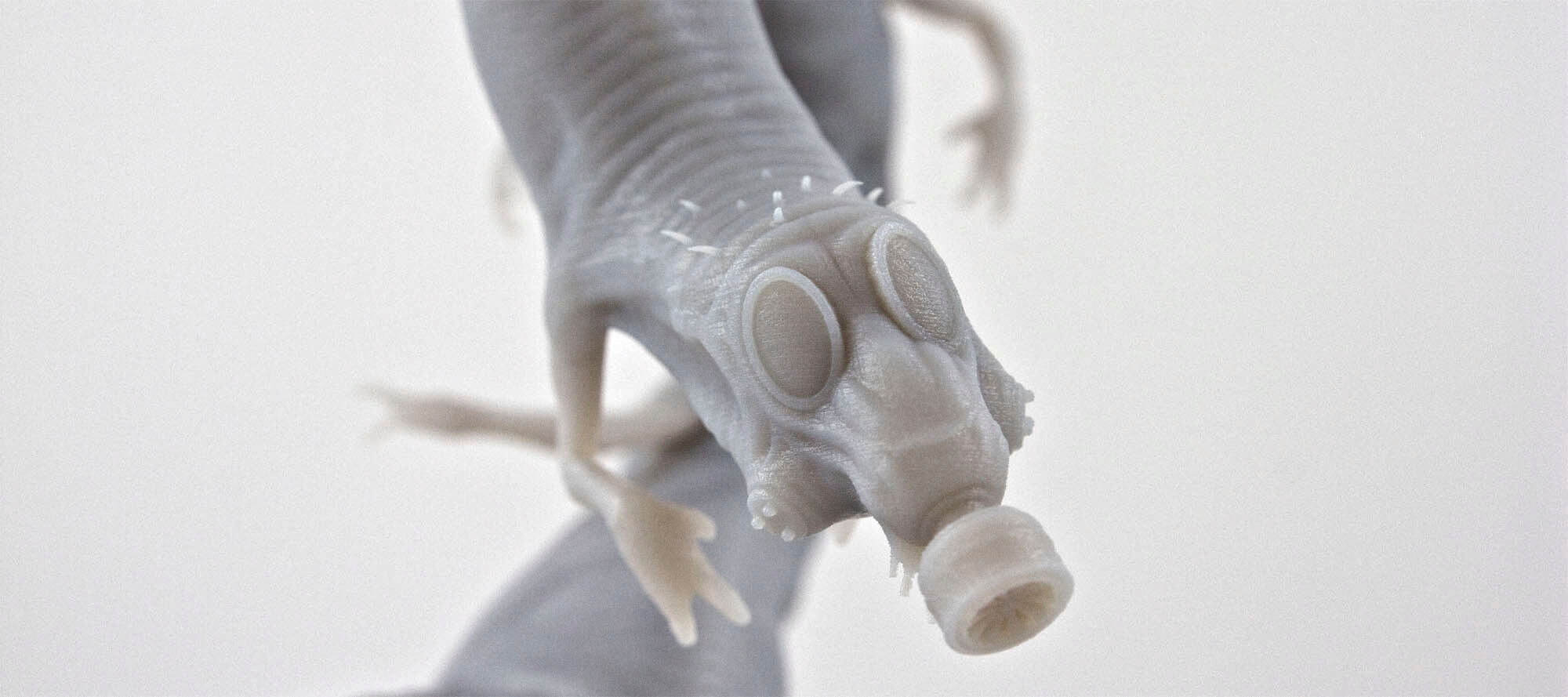 centipede_0008