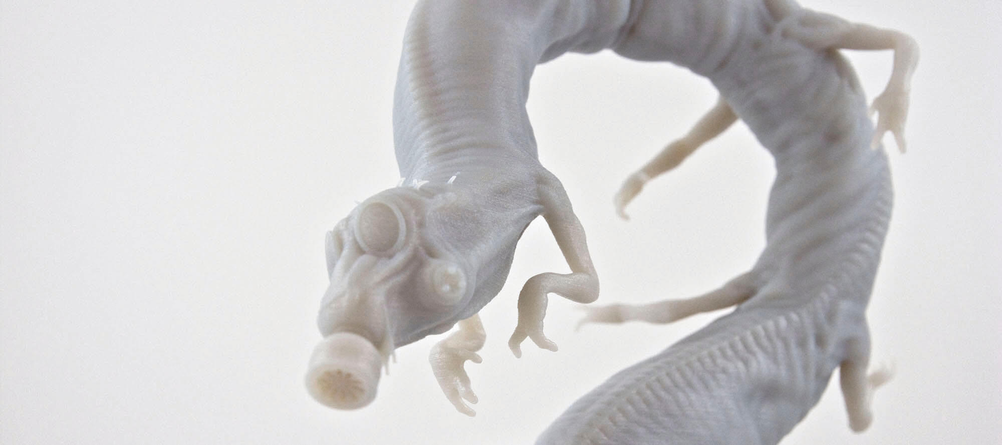 centipede_0009