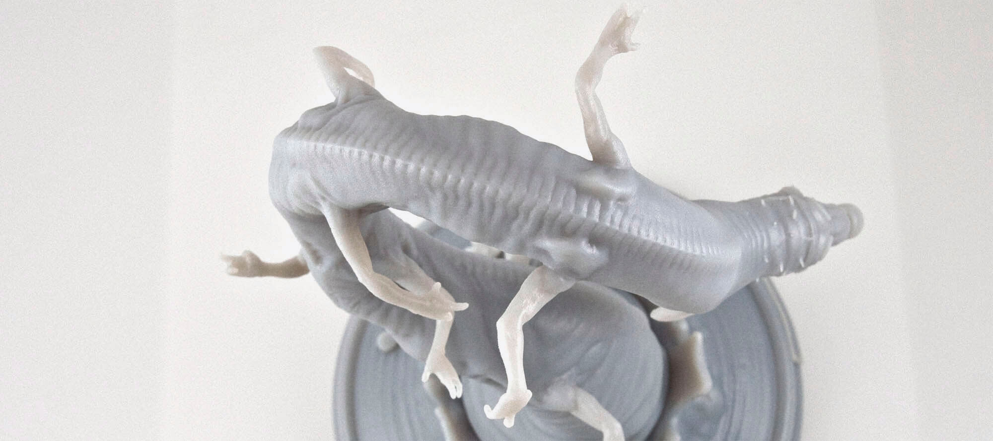 centipede_0020