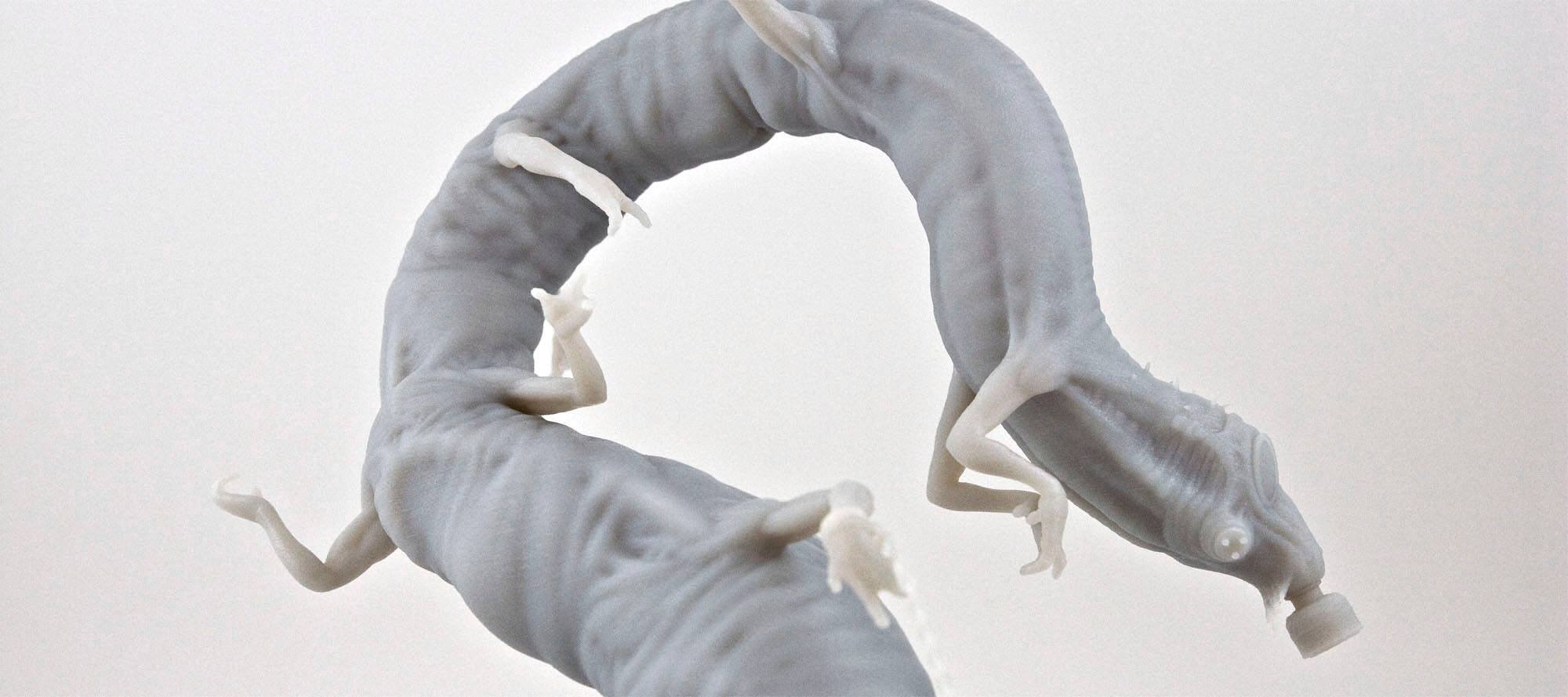 centipede_0024