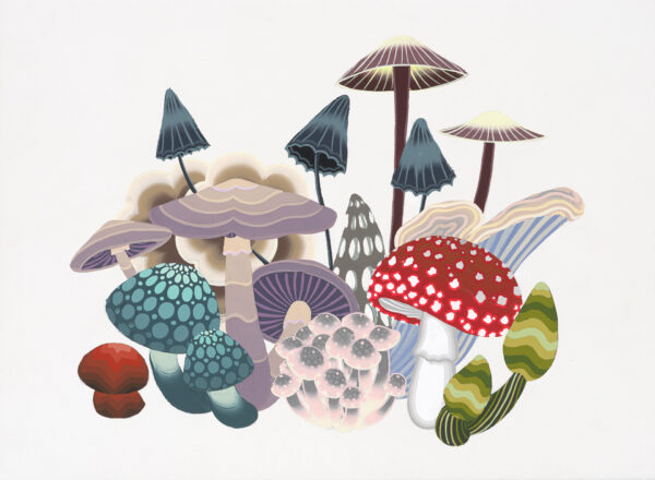 JetMartinez_SP_honguitos